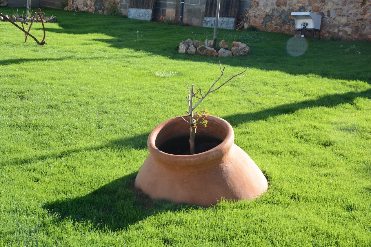Casa Rural Aromas De La Manchuela Alborea Eksteriør billede
